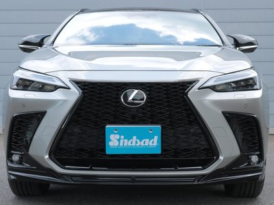 2025 Lexus NX 缩略图 23
