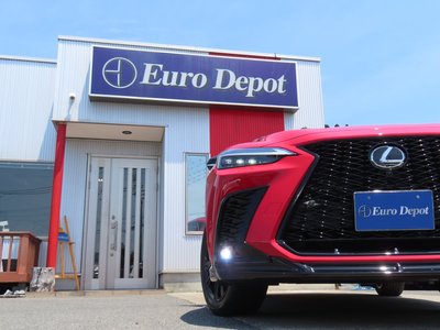 2025 Lexus NX 缩略图 33