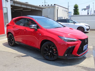 2025 Lexus NX 缩略图 29