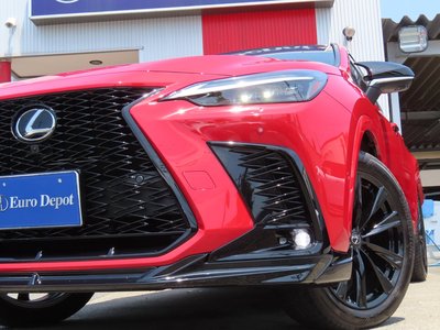 2025 Lexus NX 缩略图 24