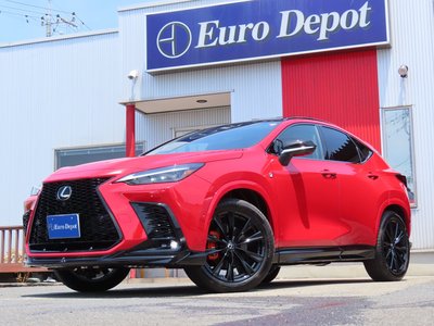 2025 Lexus NX 缩略图 81
