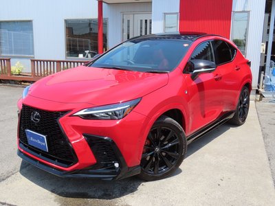 2025 Lexus NX 缩略图 28