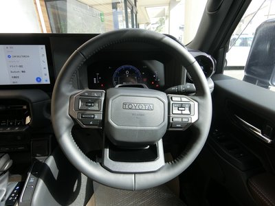 TOYOTA LAND CRUISER 250 - 10