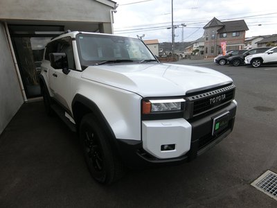 TOYOTA LAND CRUISER 250 - 6