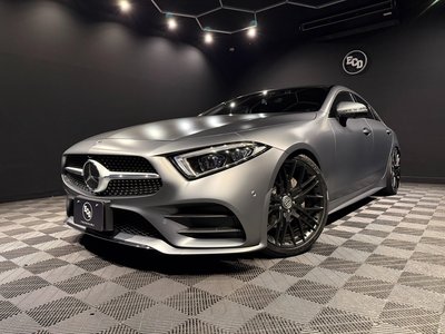 2019 Mercedes-BENZ CLS — фото 10