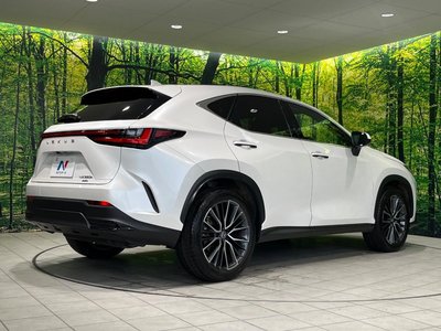 2023 Lexus NX 缩略图 17