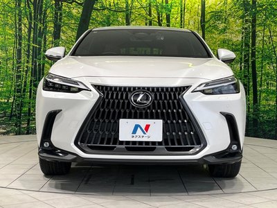 2023 Lexus NX 缩略图 14