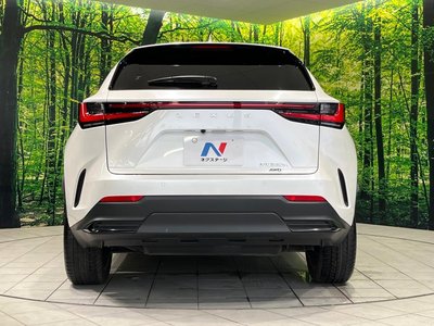 2023 Lexus NX 缩略图 15