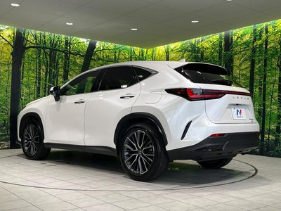 2023 Lexus NX 缩略图 66