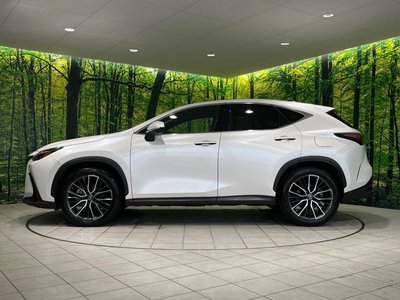 2023 Lexus NX 缩略图 65