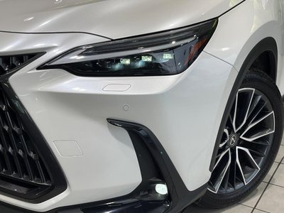 2023 Lexus NX 缩略图 12