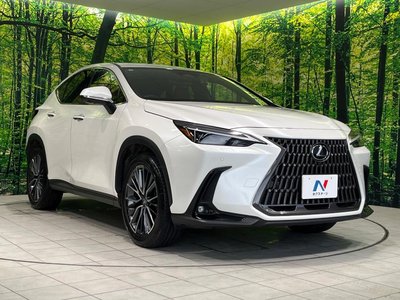 2023 Lexus NX 缩略图 16