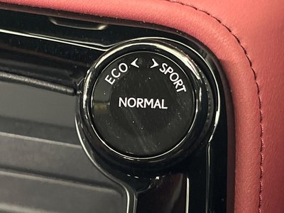 2023 Lexus NX 缩略图 50