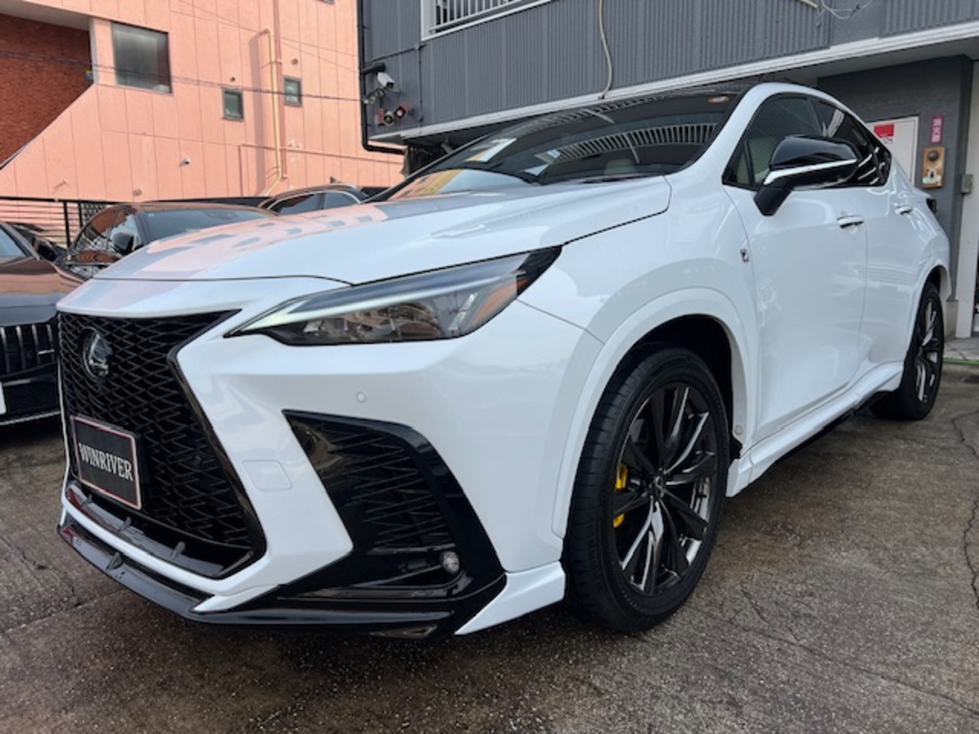 LEXUS NX - View 1
