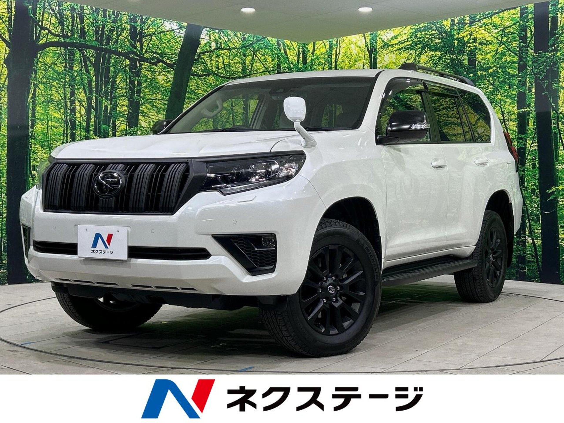 TOYOTA LAND CRUISER PRADO - View 1