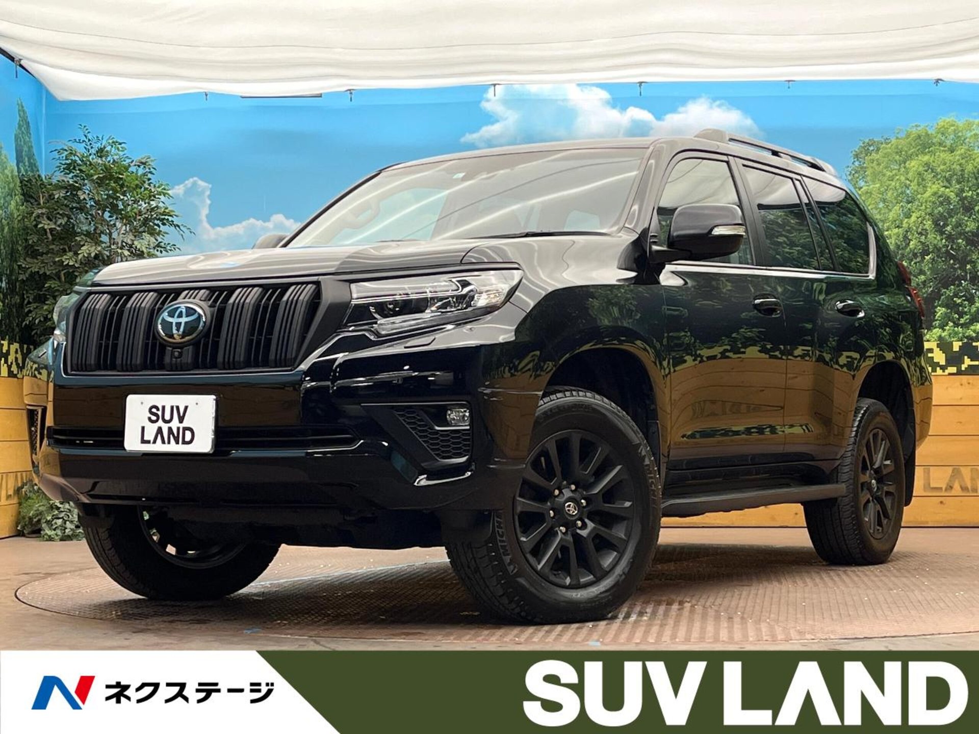 TOYOTA LAND CRUISER PRADO - View 1