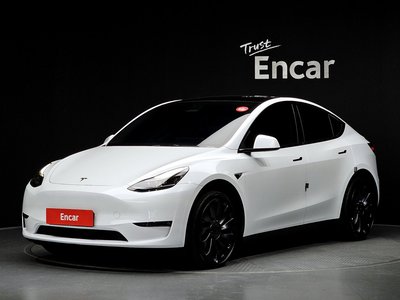 TESLA MODEL Y - 1