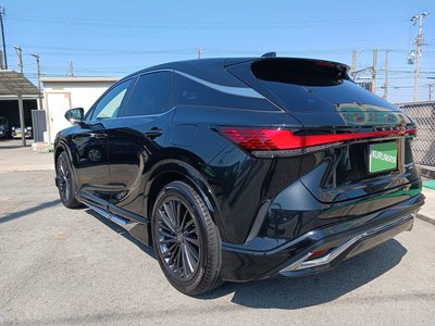 LEXUS RX - 7