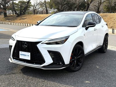 LEXUS NX - 6