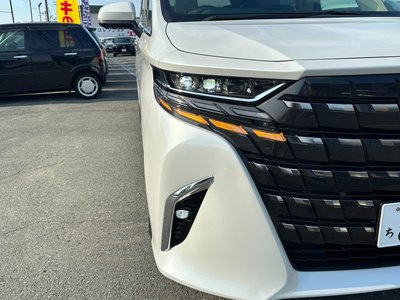 2025 Toyota ALPHARD 照片 10