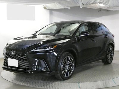 LEXUS RX - 2