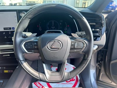 2023 Lexus RX — миниатюра 15