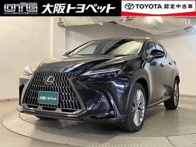 LEXUS NX - 1