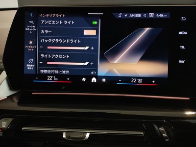 2025 BMW X1 缩略图 64