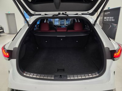 2025 Lexus RX 缩略图 15