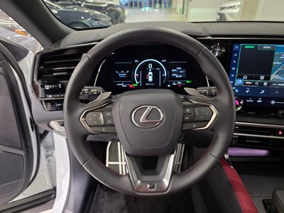2025 Lexus RX 缩略图 14
