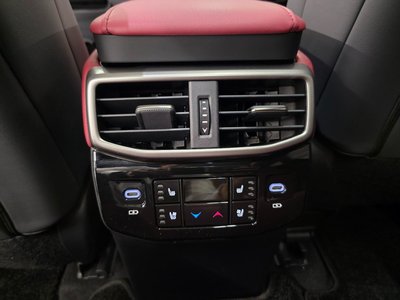 2025 Lexus RX 缩略图 13
