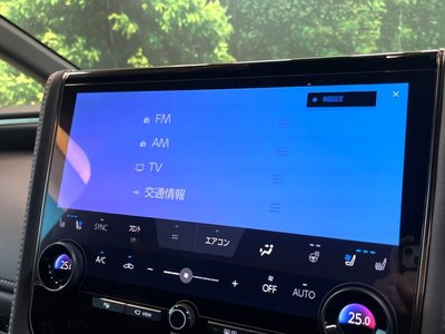 2024 Toyota VELLFIRE 缩略图 38