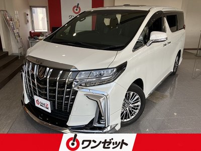 2019 Toyota ALPHARD 照片 1