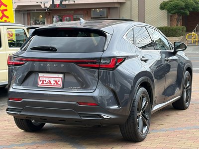 صورة مصغرة 12 لـ 2022 Lexus NX