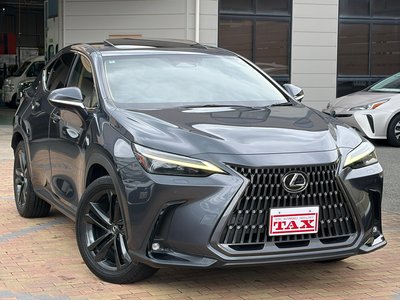 2022 Lexus NX — фото 10