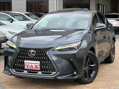 2022 Lexus NX — фото 1