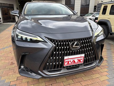صورة مصغرة 18 لـ 2022 Lexus NX