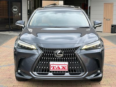 صورة مصغرة 11 لـ 2022 Lexus NX