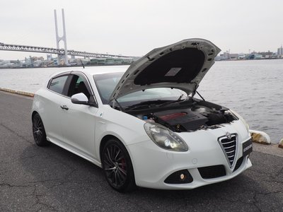 2013 ALFA Romeo JULIETTA 缩略图 66