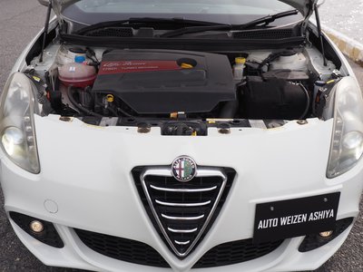 2013 ALFA Romeo JULIETTA 缩略图 67