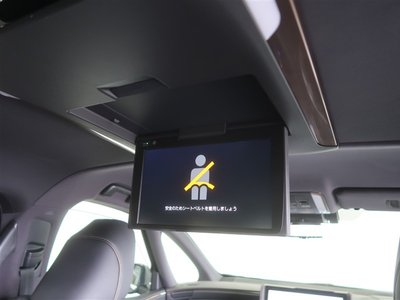 2023 TOYOTA ALPHARD 缩略图 13