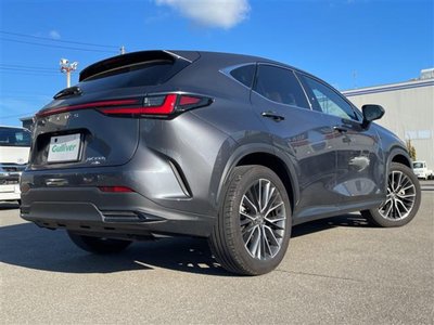 2023 Lexus NX — миниатюра 37