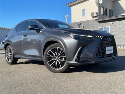 2023 Lexus NX — миниатюра 34