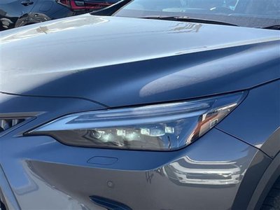 2023 Lexus NX — миниатюра 30
