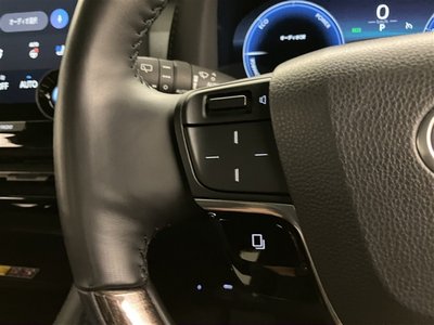 2024 TOYOTA ALPHARD 缩略图 20