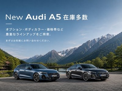 2025 AUDI A5 AVANT — миниатюра 49