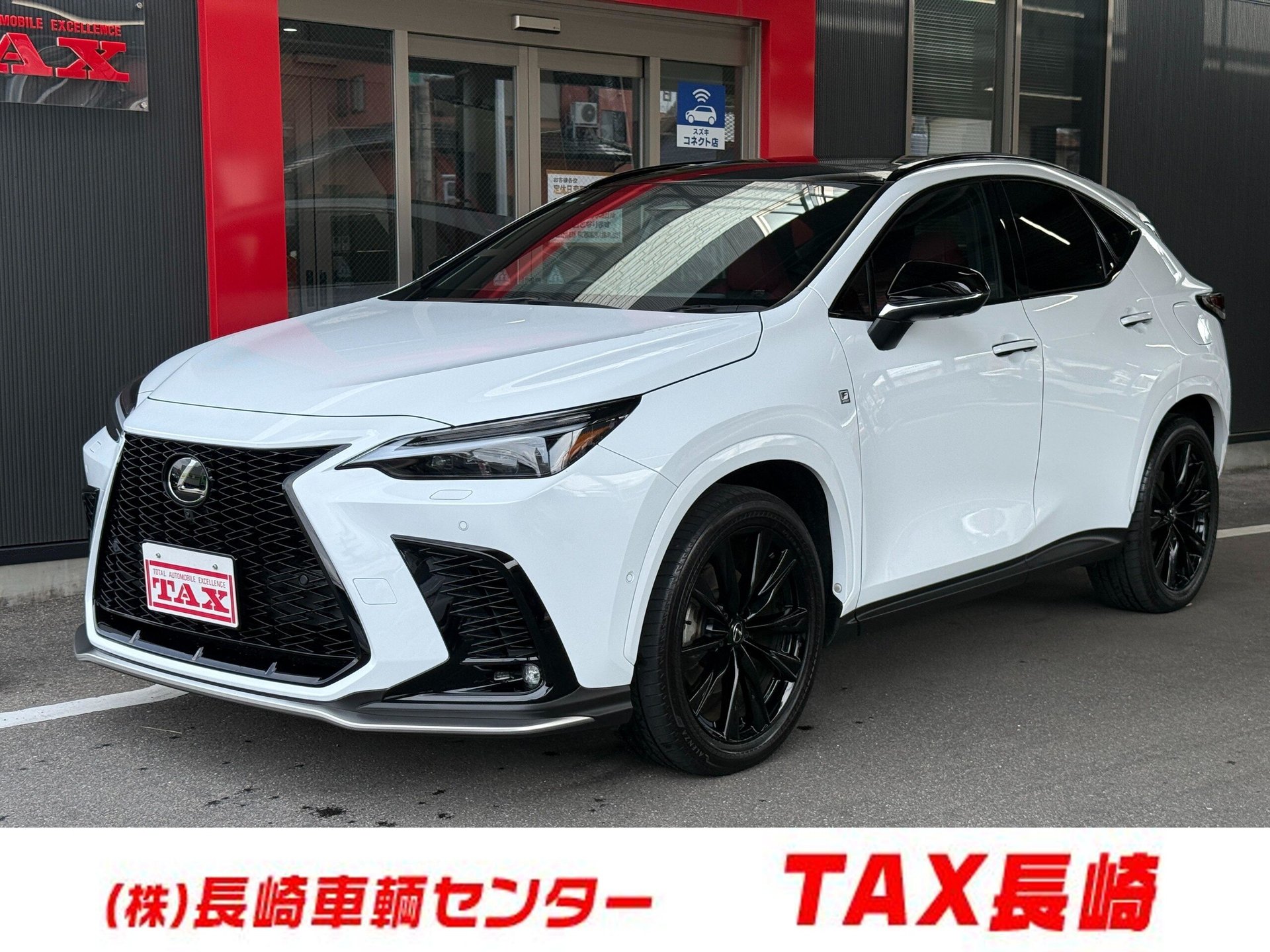 LEXUS NX - View 1