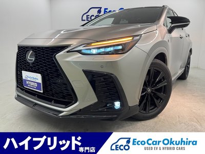 LEXUS NX - 1