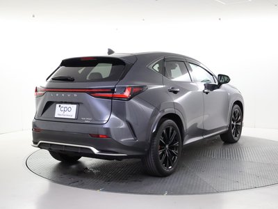 LEXUS NX - 10