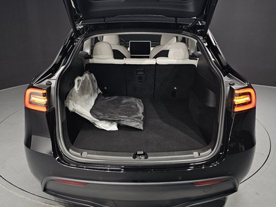 2022 Tesla MODEL Y 缩略图 26